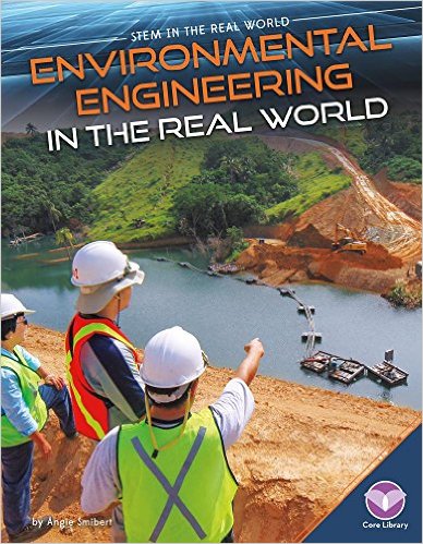 Book Cover: Environmental Engineering in the Real World