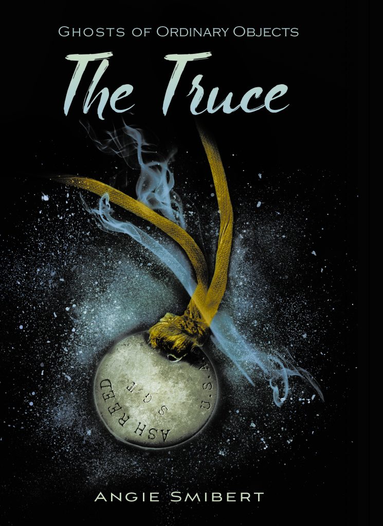 Book Cover: The Truce