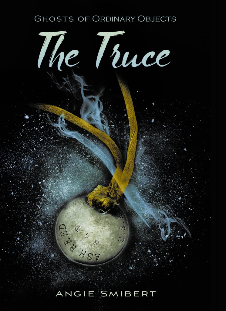 Book Cover: The Truce