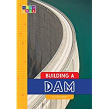 Book Cover: Building a Dam